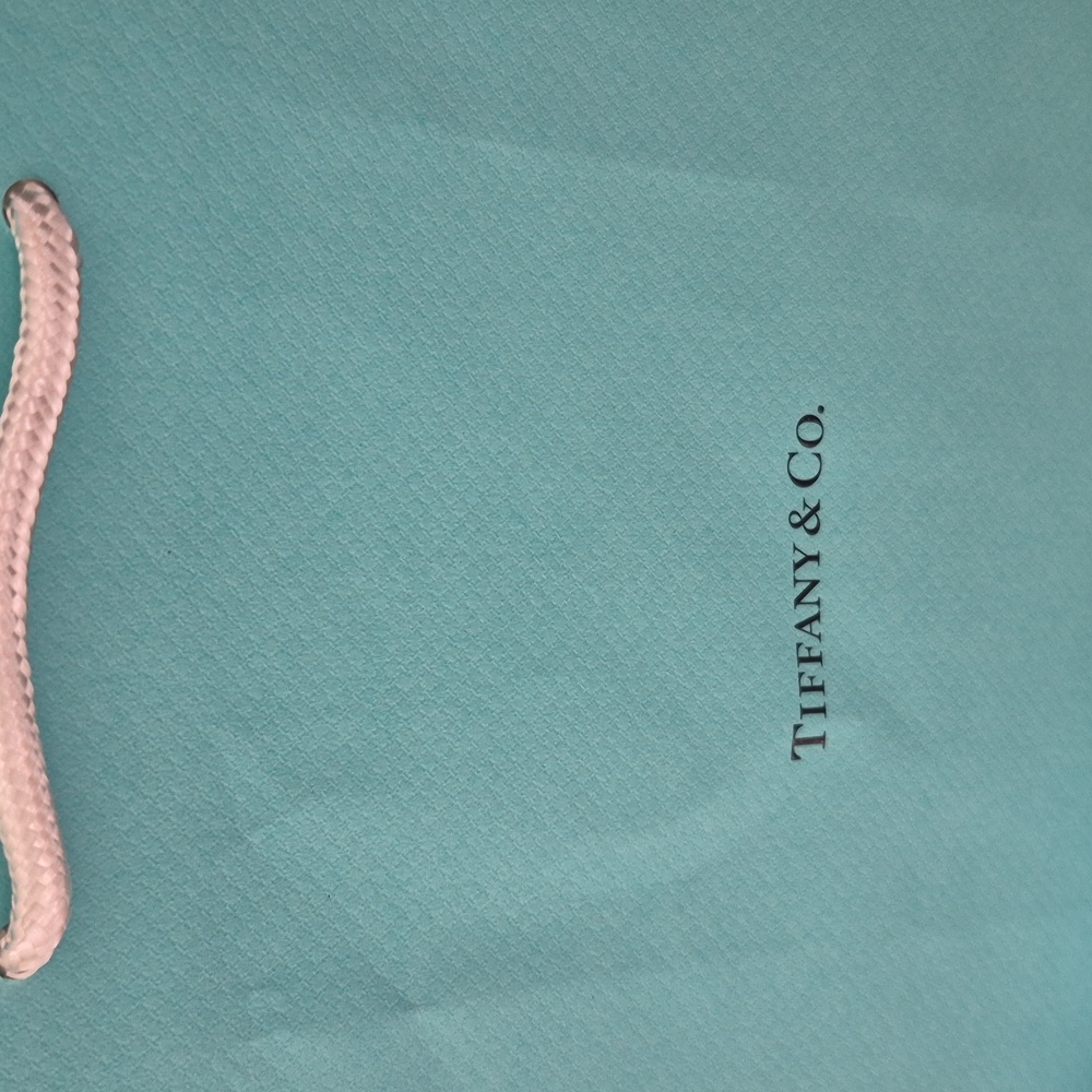 🔥🆕🔥 2x Tiffany & Co. Gift Bags | Medium/Large Blue Shopping Bag | 8" x 10"